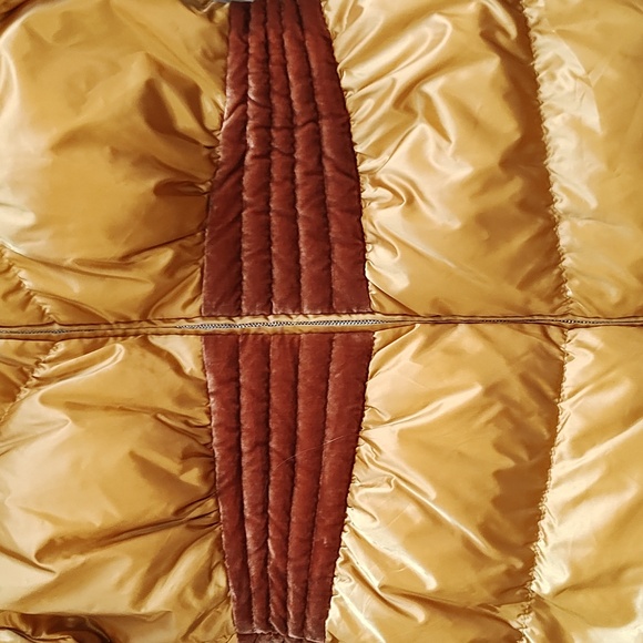 Yellow jacket - Picture 5 of 6